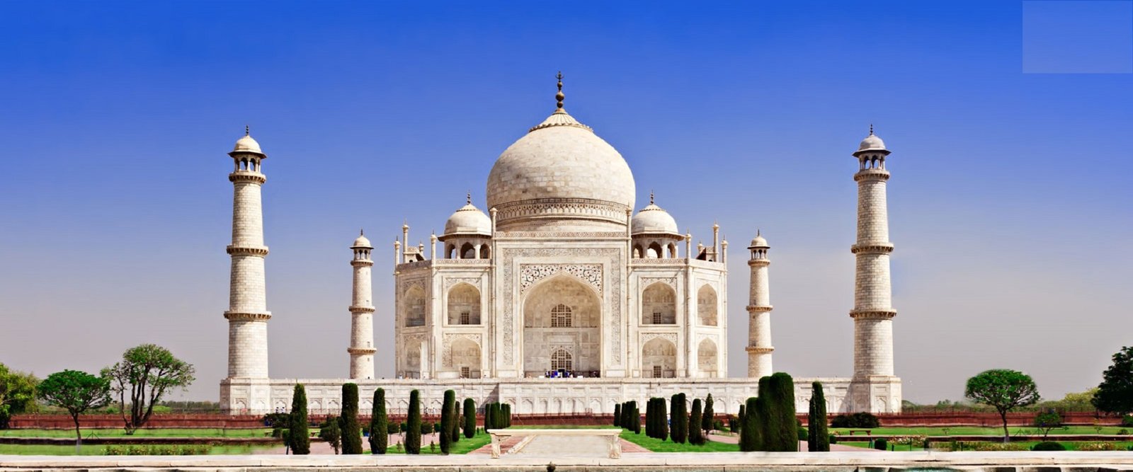 Explore the Golden Triangle Tour with Wildlife